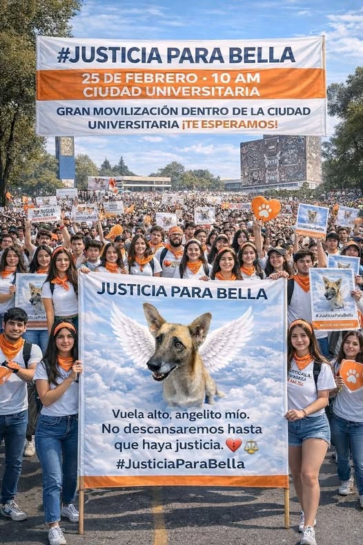 Cartel de justicia para bella 