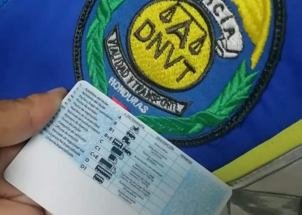 Licencia de conducir digital 