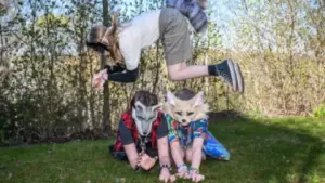 Imagen de Claves para identificar si tu hijo se identifica como un Therian