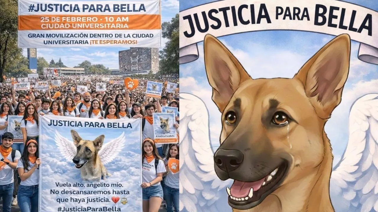 Imagen Principal de Nota: Sale a la luz cómo asesinaron a Bella en la UNAH; estudiantes piden justicia