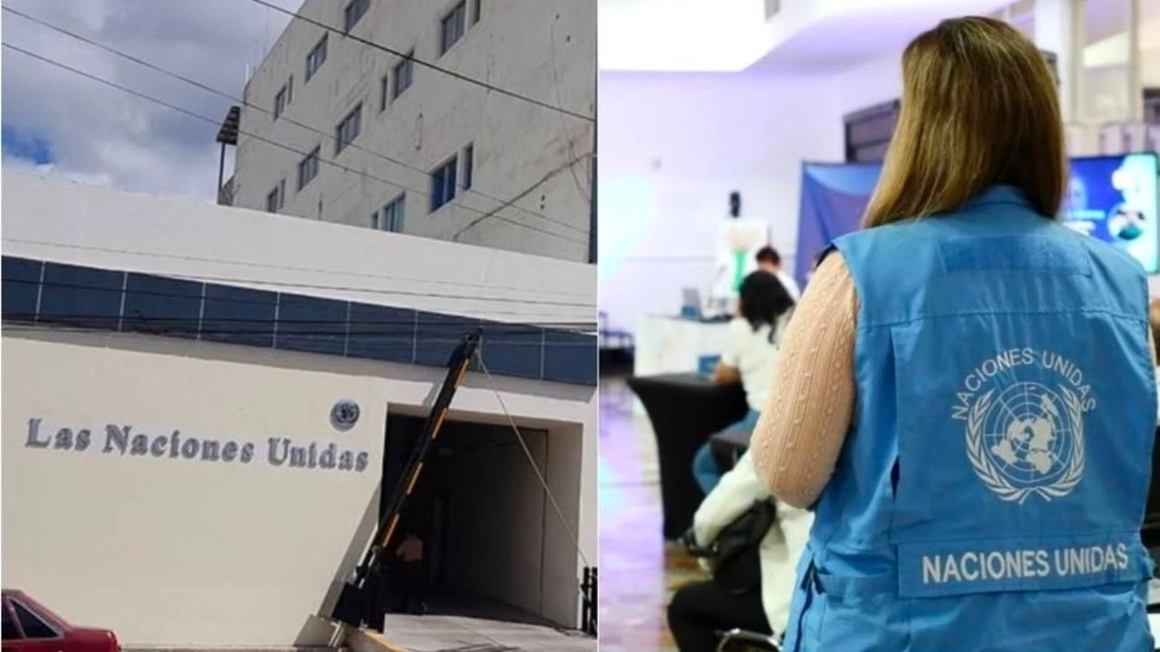 Imagen Principal de Nota: La ONU abre vacantes y consultorías en Honduras: así puedes postularte