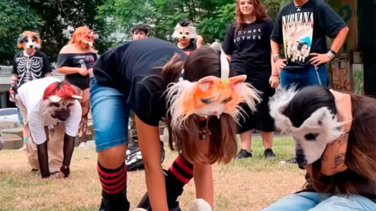 ¿Podrías ser sancionado por unirte o promover la tendencia “therian” en tu colegio?