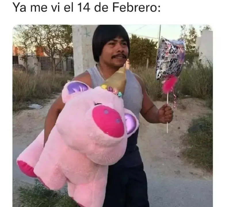 memes San Valentín