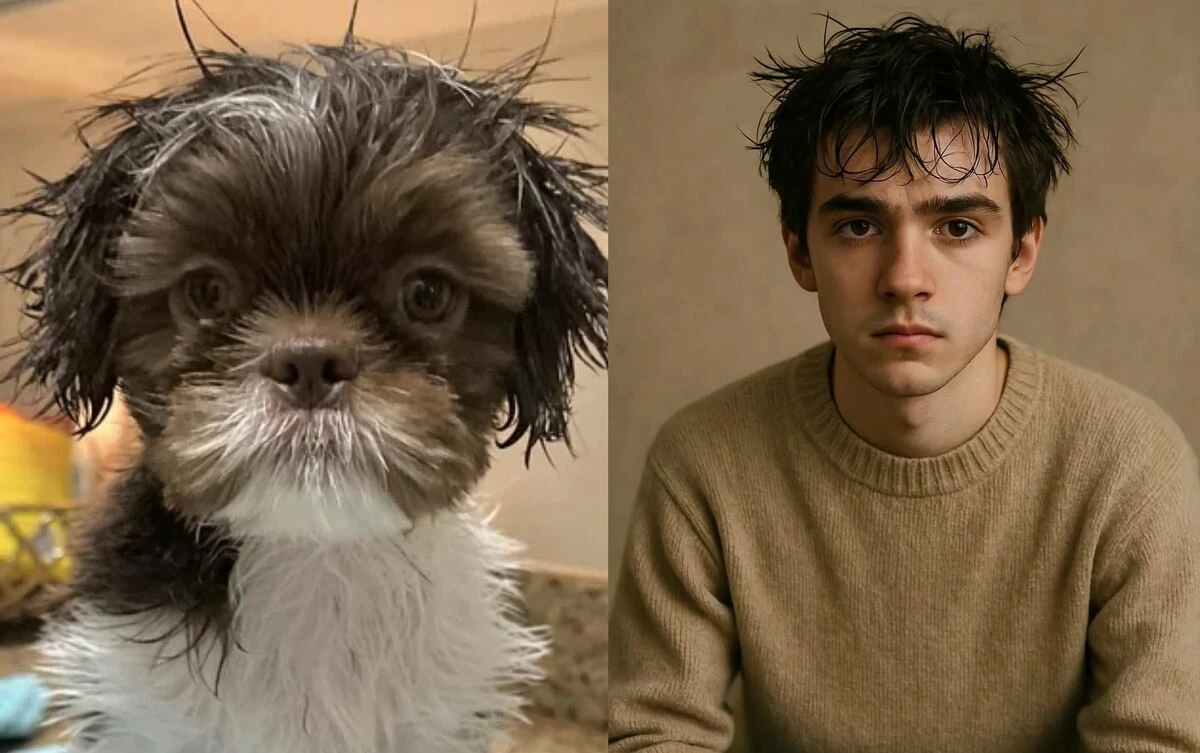 imagen creada por IA