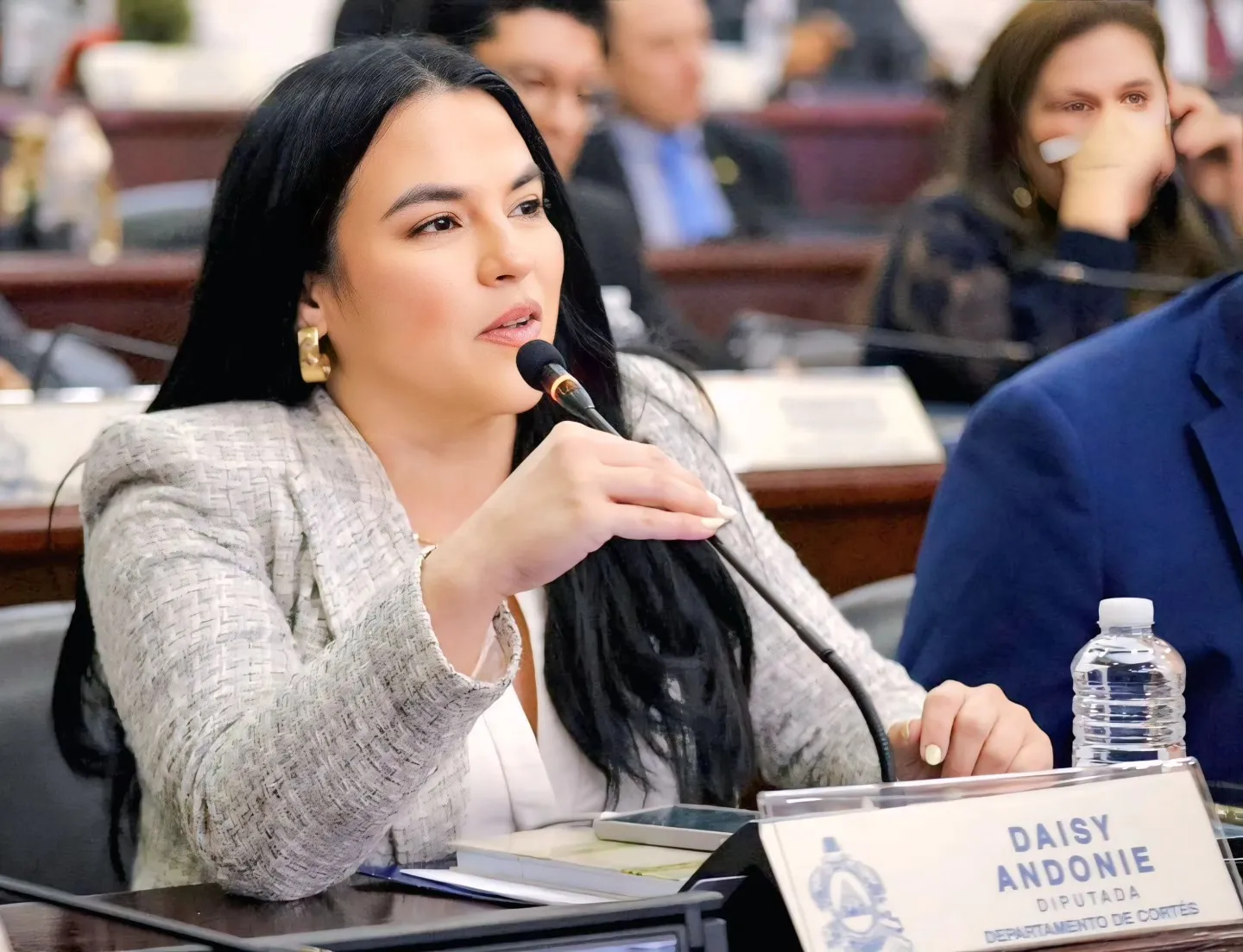 Daisy Andonie desde el Congreso Nacional