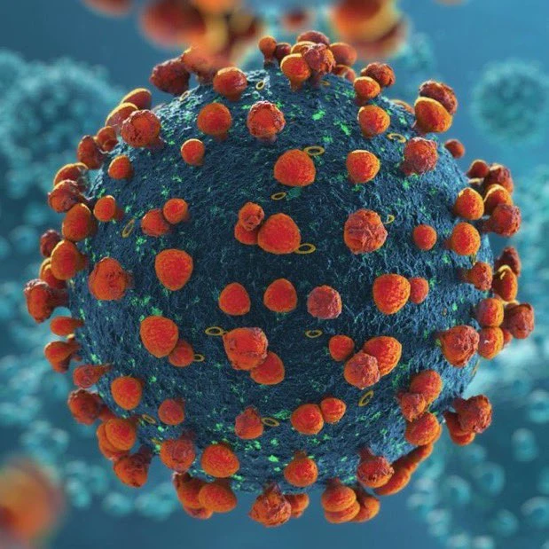 Imagen ilustrativa de una variante del Covid-19. Foto: tomada de Internet 