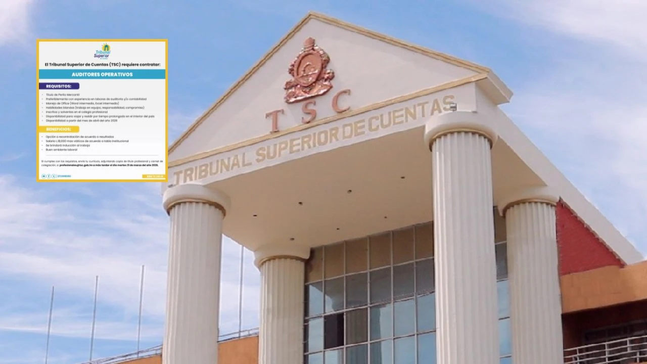 ¿Necesitas trabajo? El TSC busca auditores y hoy es el último día para aplicar