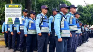 Imagen de Así será el nuevo chaleco de la DNVT: detalles y cuándo entra en vigencia