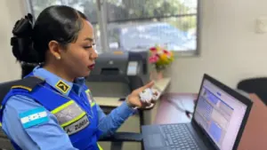 Imagen de Permiso de conducir digital: cómo obtenerlo mientras llega tu licencia física