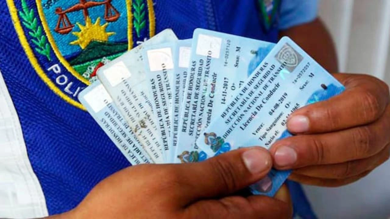 Imagen de Escasez en emisión de licencia de conducir: ¿cómo tramitarla mientras tanto?