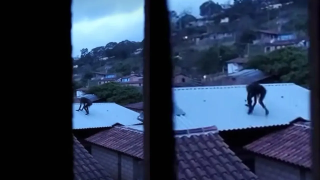 Silueta encorvada desata miedo y  misterio en redes, ¿es real?