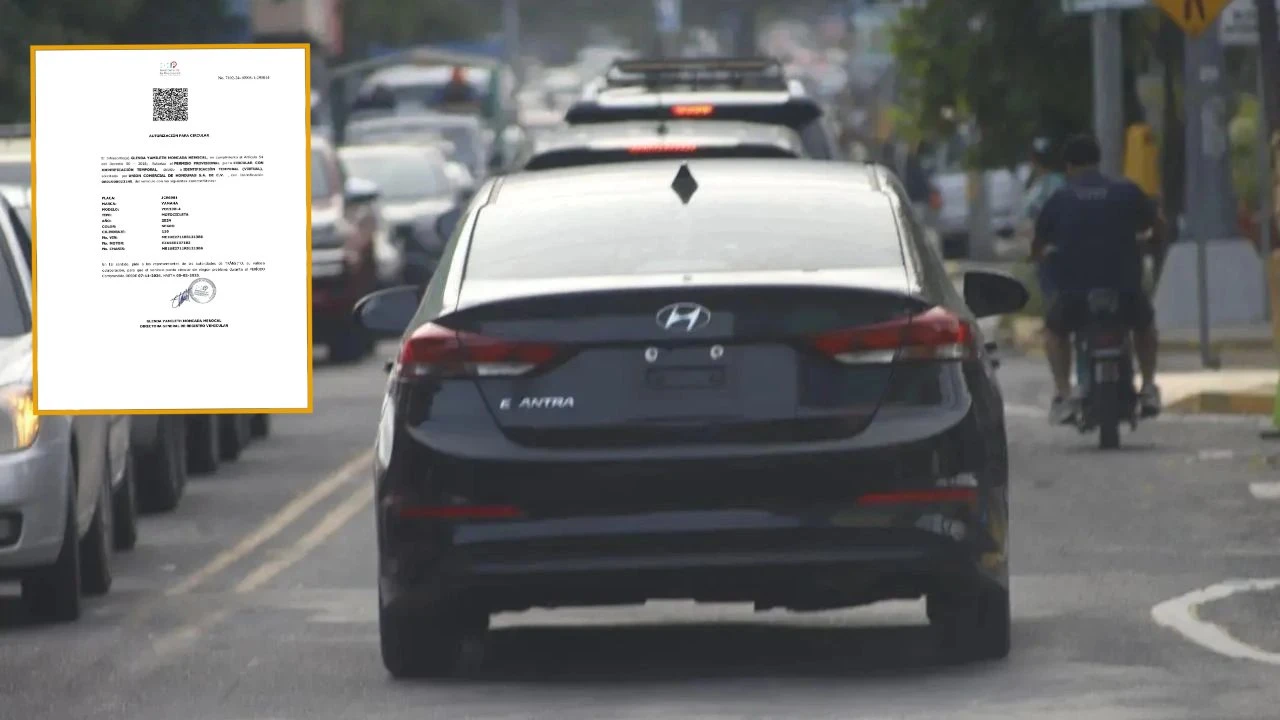 Los 3 sencillos pasos para solicitar o renovar permiso para circular sin placas