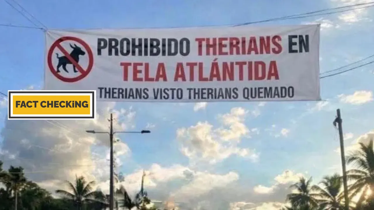 ¿Prohibieron los therians en las playas de Tela? Esto se sabe
