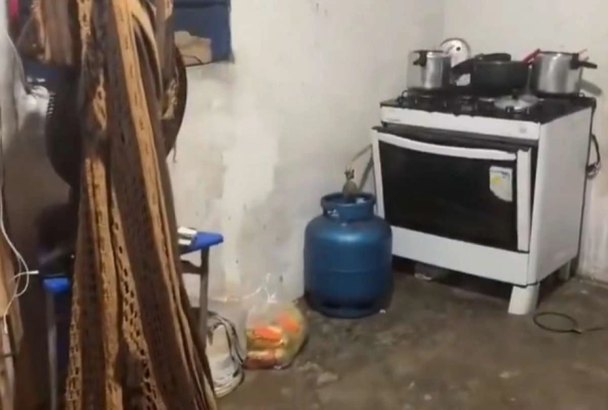 La puerta del horno se mueve. Un implemento que está cerca también empieza a balancearse, mientras la tapa de la olla baila. Foto: cortesía de redes sociales