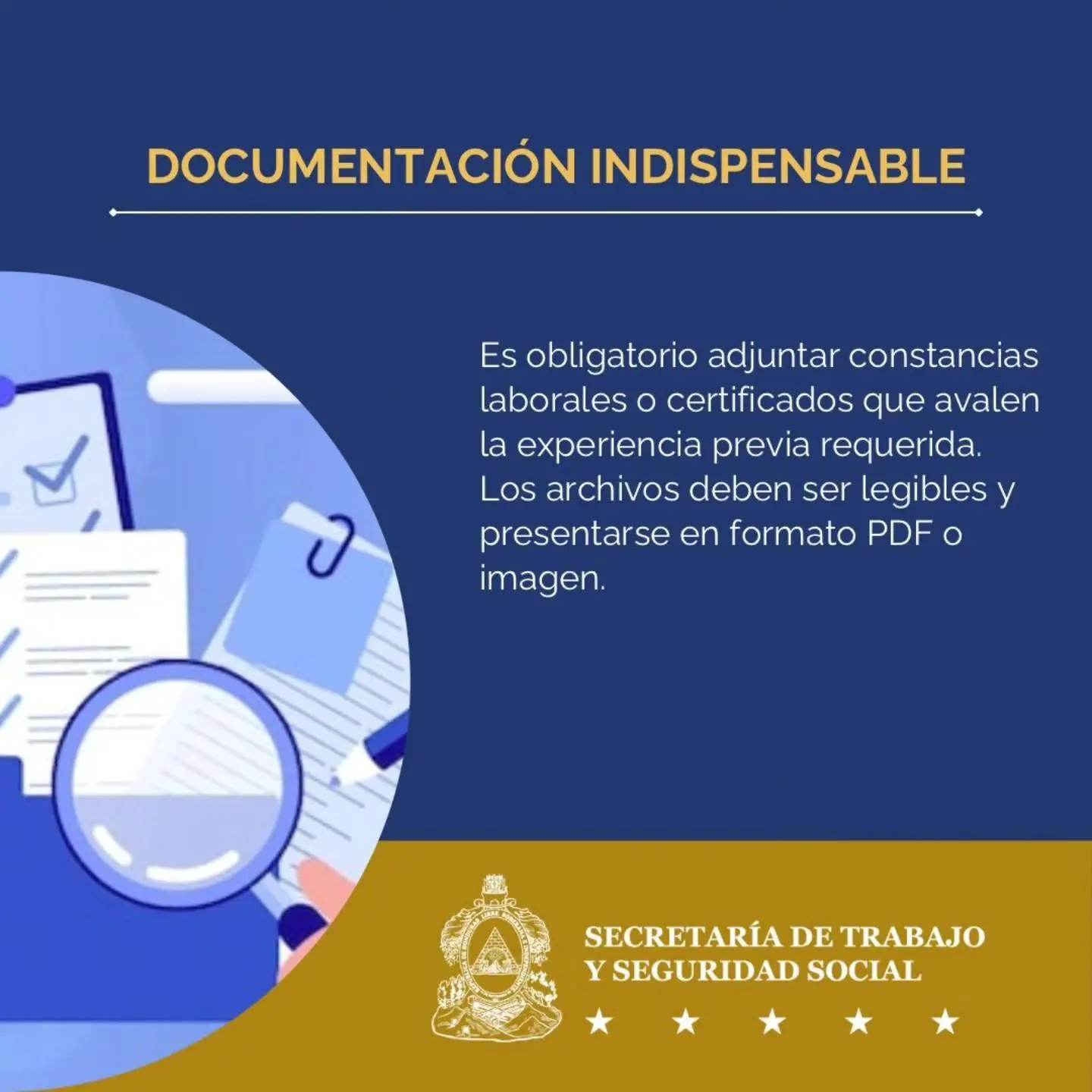 Si quieres aplicar, deberás adjuntar evidencias de tus trabajos anteriores.