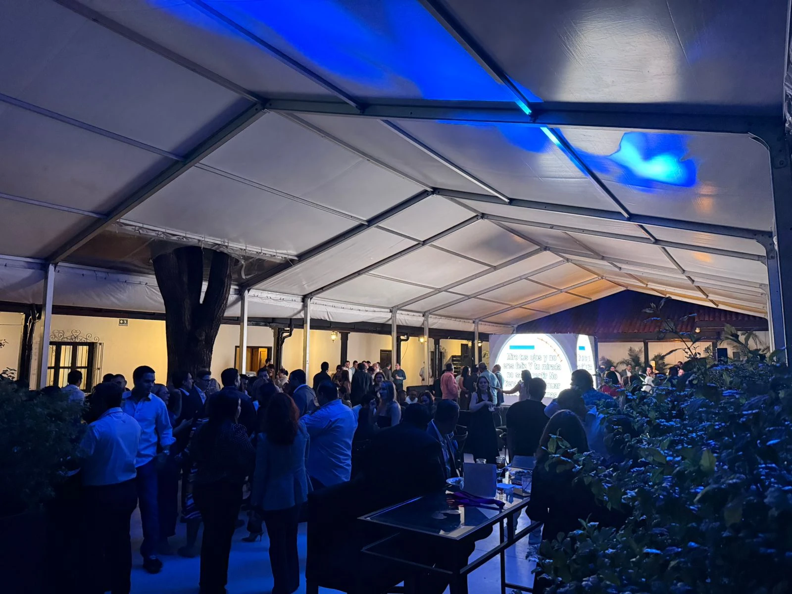 fiesta de Jorge calix 