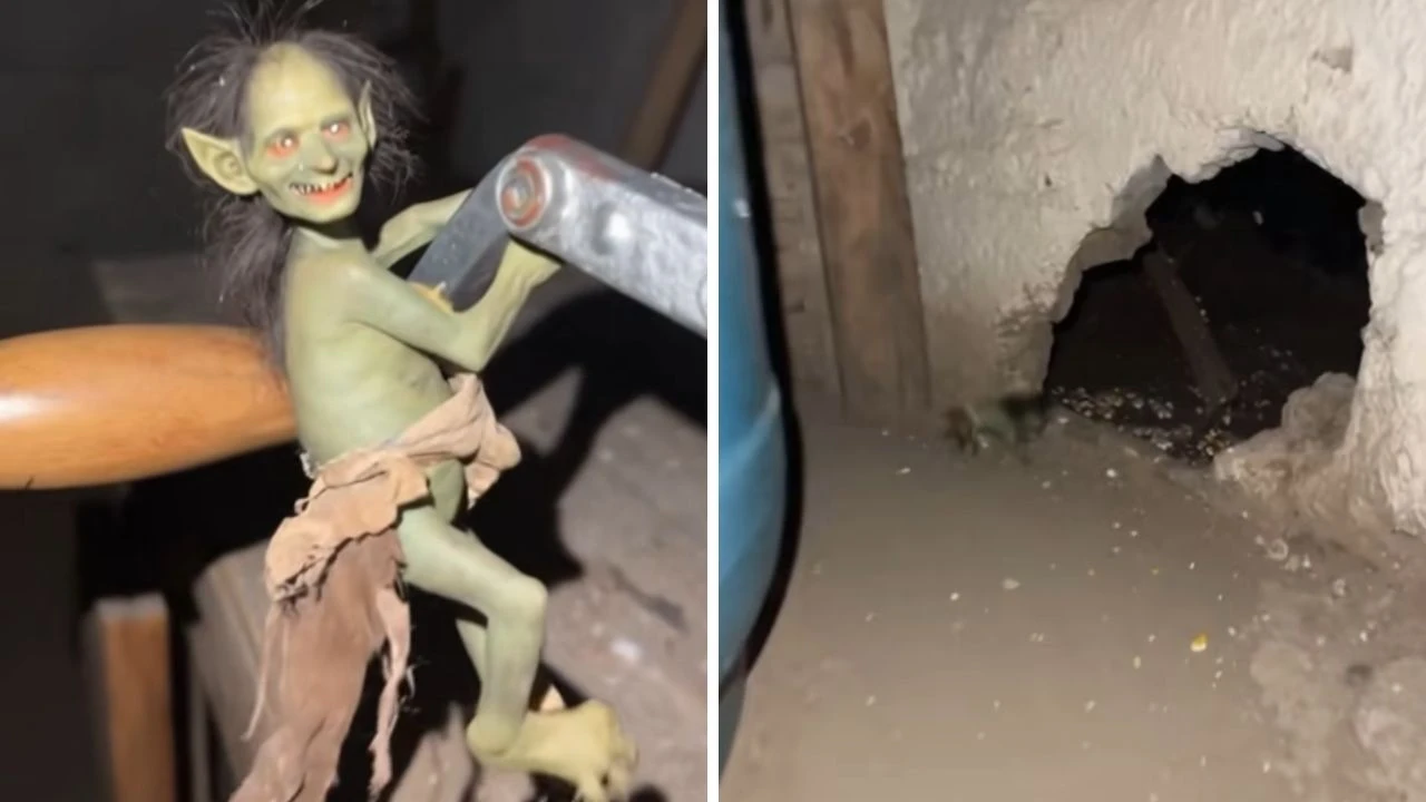 captura de supuesto duende verde