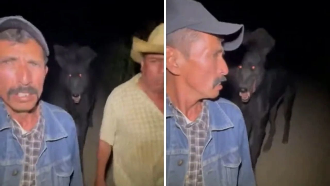 hombres en el campo 