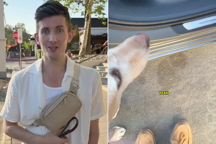 Influencer no vidente denuncia discriminación con su perro guía en app de transporte