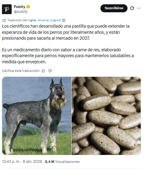 LOY-002 es un medicamento diario con sabor a carne de res, elaborado específicamente para perros mayores. Foto: cortesía de  X