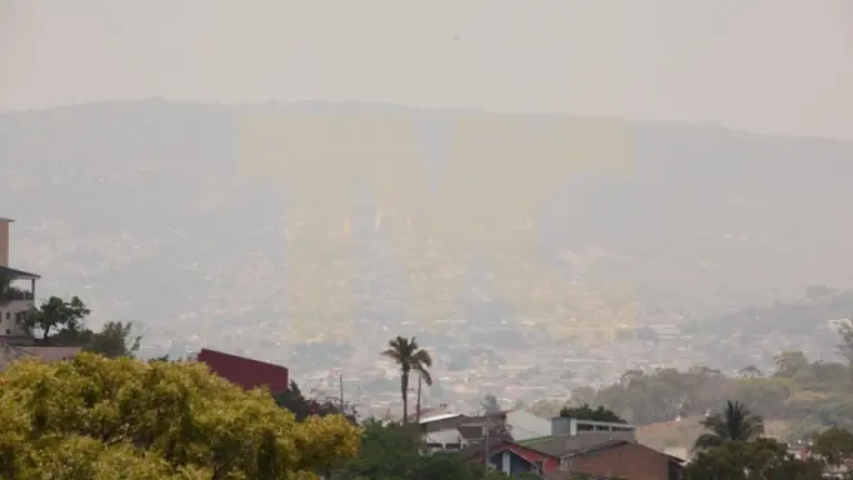 Imagen Principal de Nota: Las 8 recomendaciones de Copeco para protegerte de la densa capa de humo en Honduras