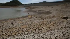 Imagen de Fenómeno de El Niño en Honduras: revelan fecha de su llegada y sus efectos
