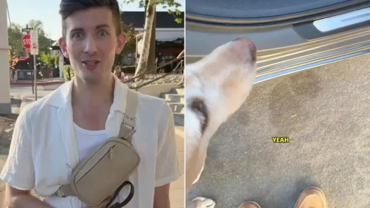 Influencer no vidente denuncia discriminación con su perro guía en app de transporte