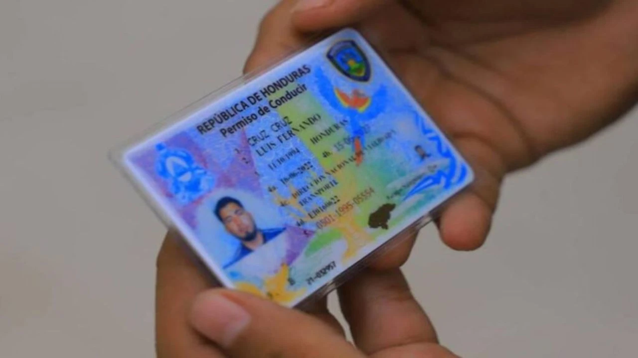 Imagen Principal de Nota: Licencia de conducir: cómo hacer el examen digital y en qué fecha aplicar