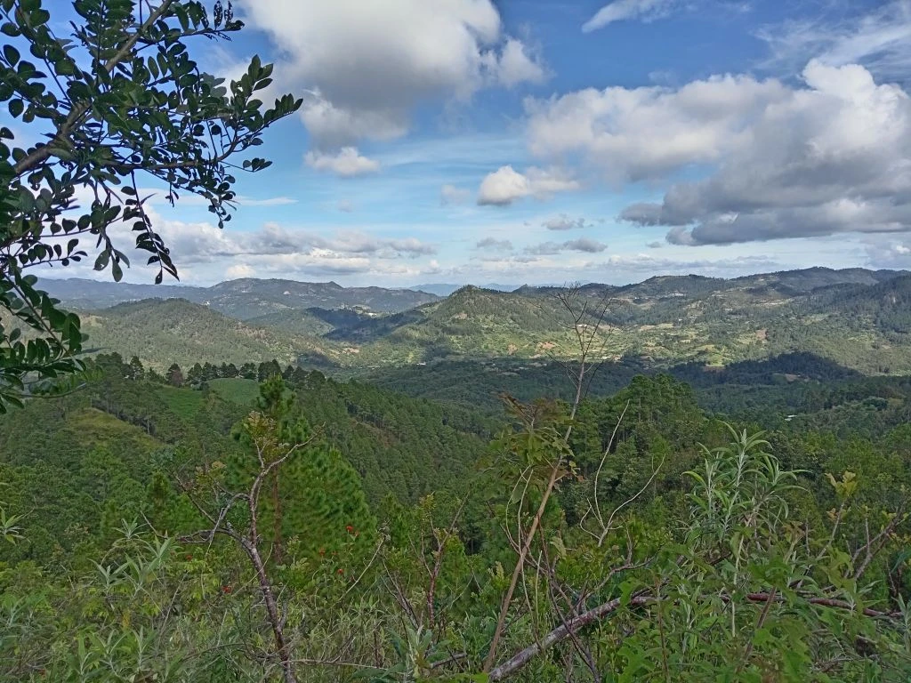 rancho