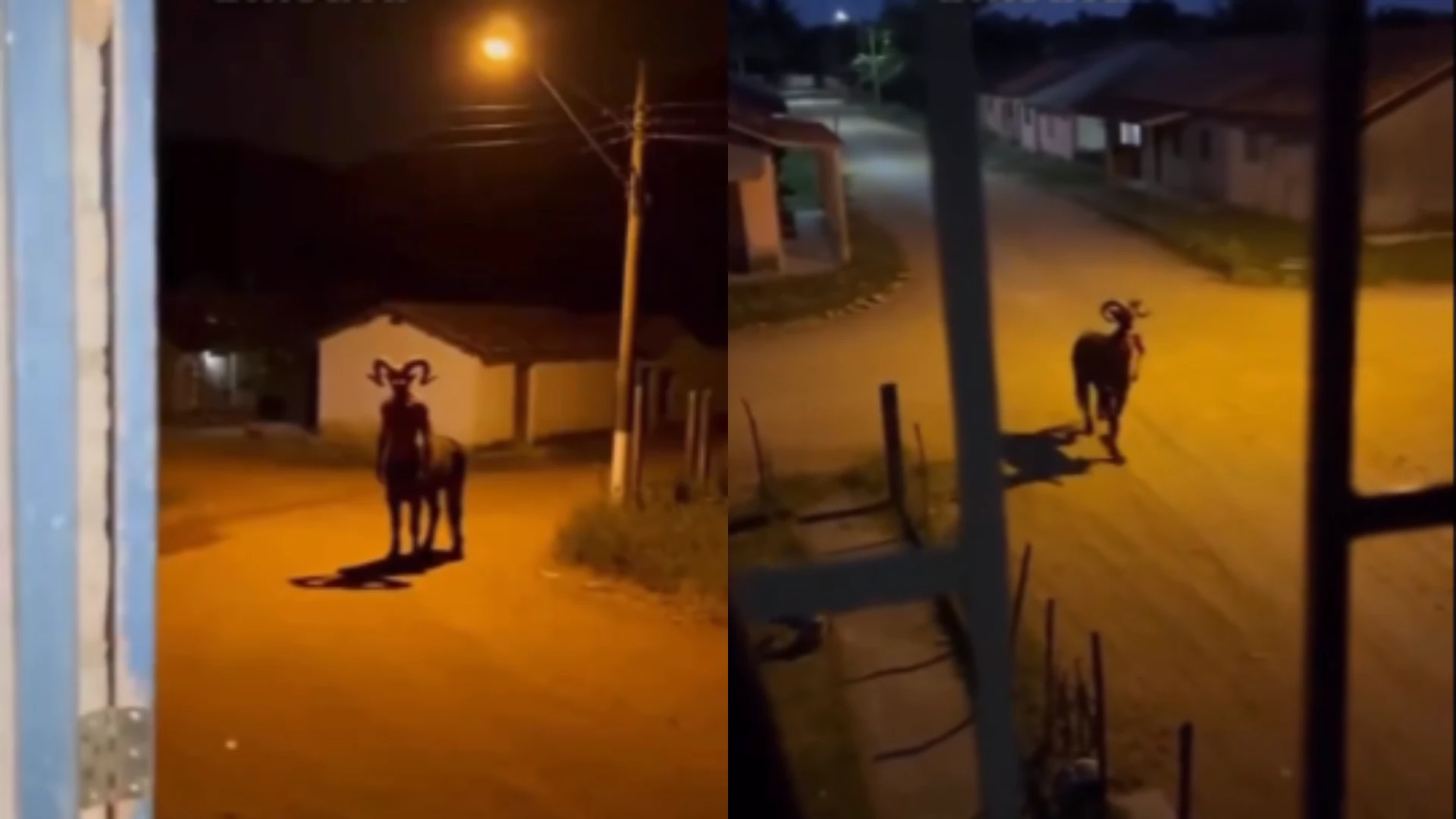 Capturas de pantalla de extraña criatura