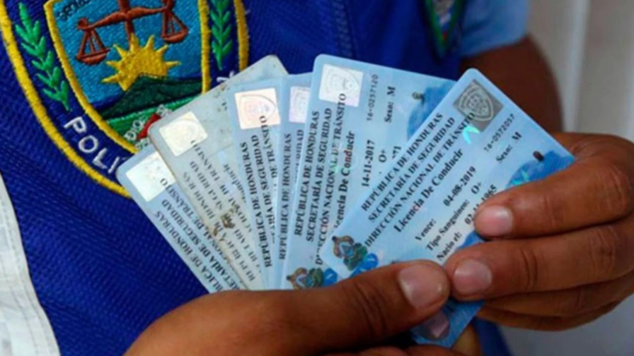 Imagen de La DNVT revela fecha que comenzará entregar licencias de conducir en físico