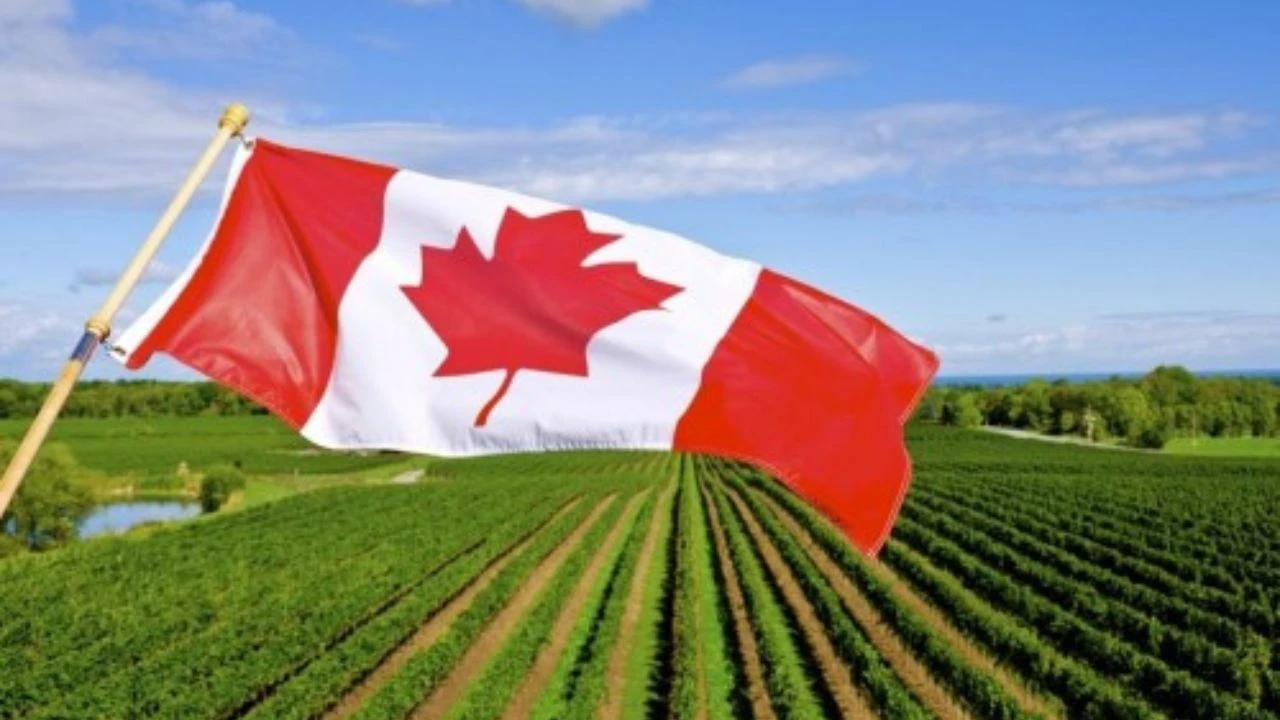 Imagen de Canadá abre nuevas plazas laborales con sueldos de hasta 53 mil lempiras: cómo postularte