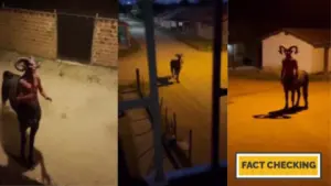 Imagen de Graban supuesta criatura 'mitad hombre y mitad caballo' en Intibucá: ¿Real o IA?