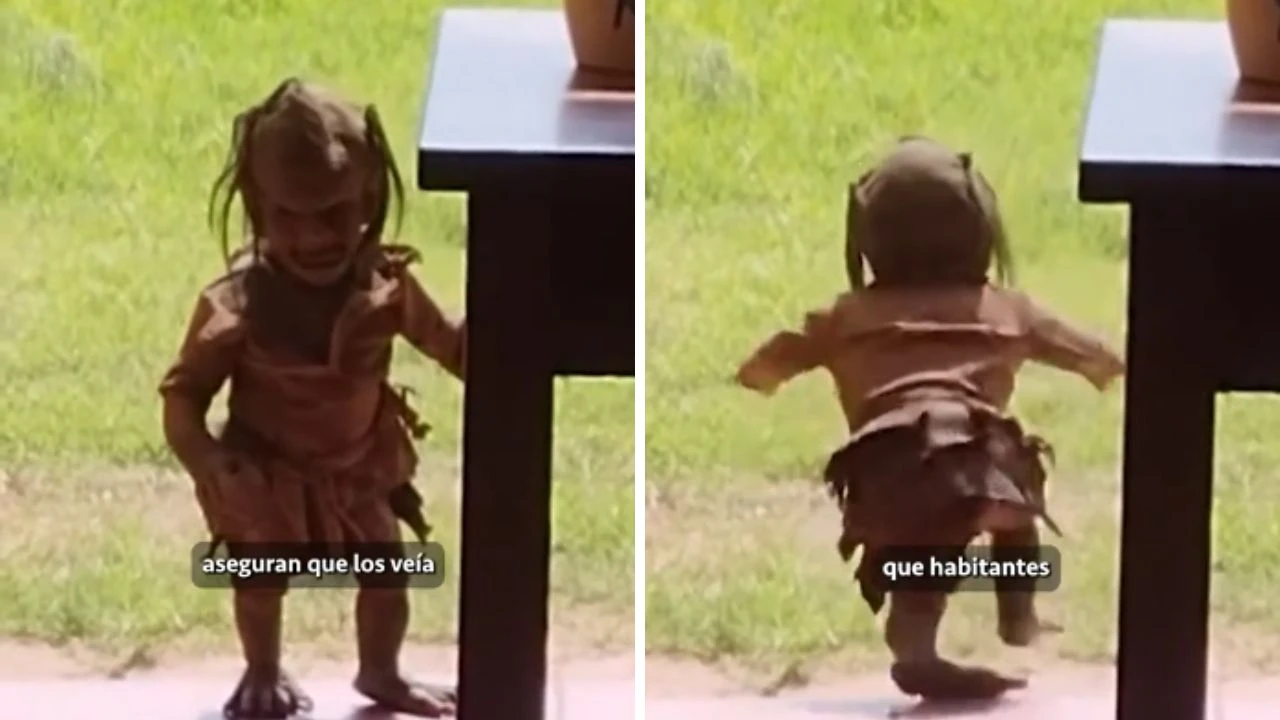 Imagen de Captan en video a supuesto 'duende ' en patio de una casa, redes sociales explotan