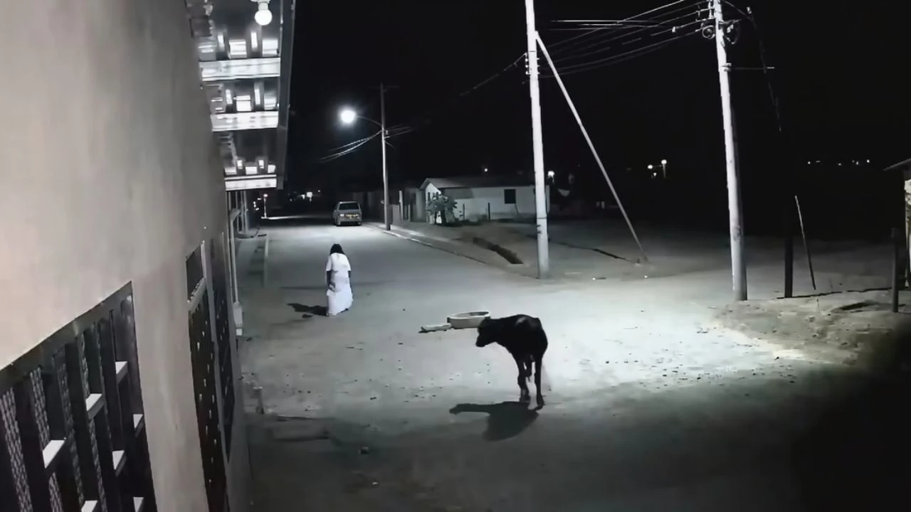 Captan a 'La Llorona' en Olanchito, Yoro: Video causa revuelo en redes sociales Imagen de Captan a 'La Llorona' en Olanchito, Yoro: Video causa revuelo en redes sociales