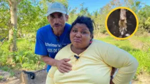 Imagen de ¿Brujería? Encuentran extraño objeto y animales en cuarto de María Chichuy y Marito
