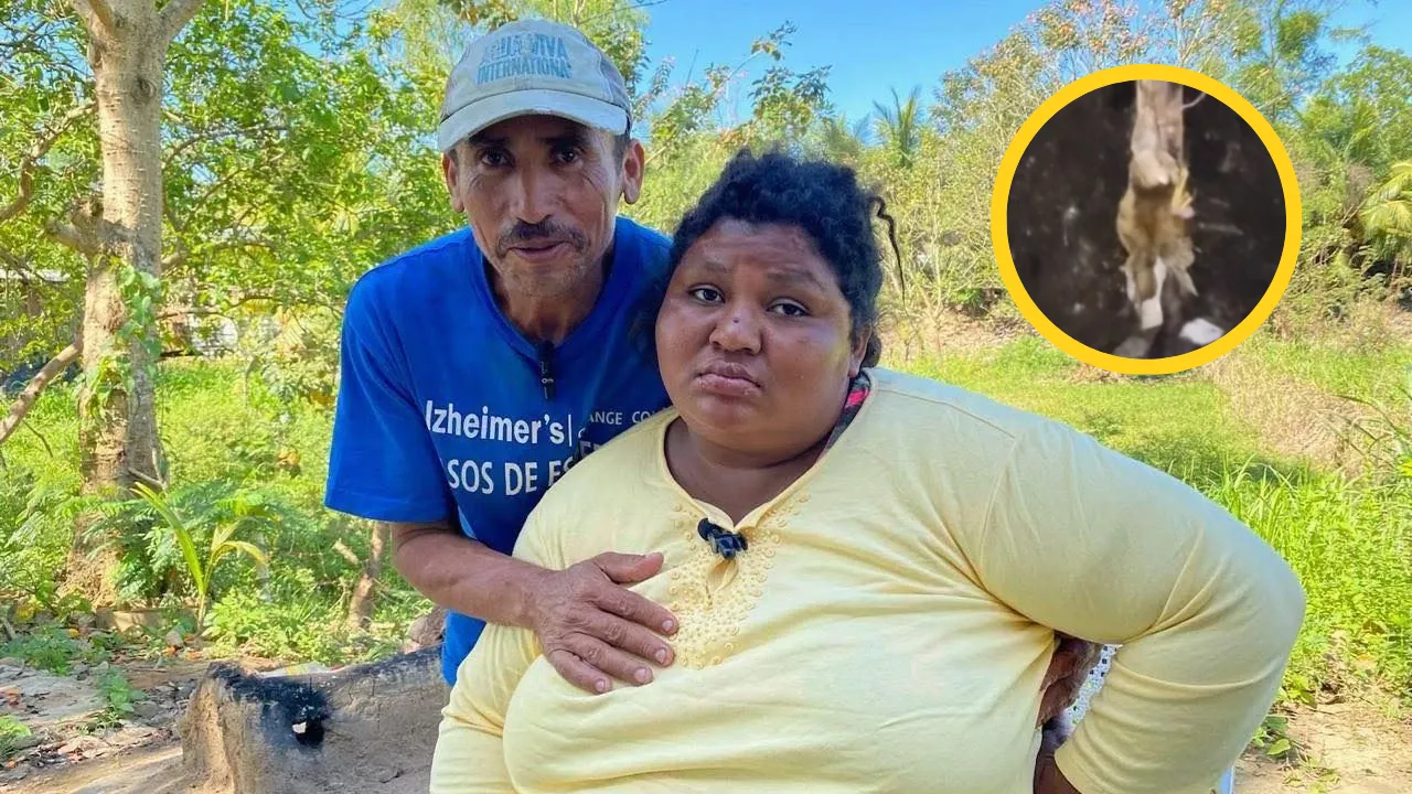 ¿Brujería? Encuentran extraño objeto y animales en cuarto de María Chichuy y Marito