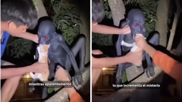 Imagen Principal de Nota: ¿Real? Captan a supuesto demonio devorando un gato y se hace viral