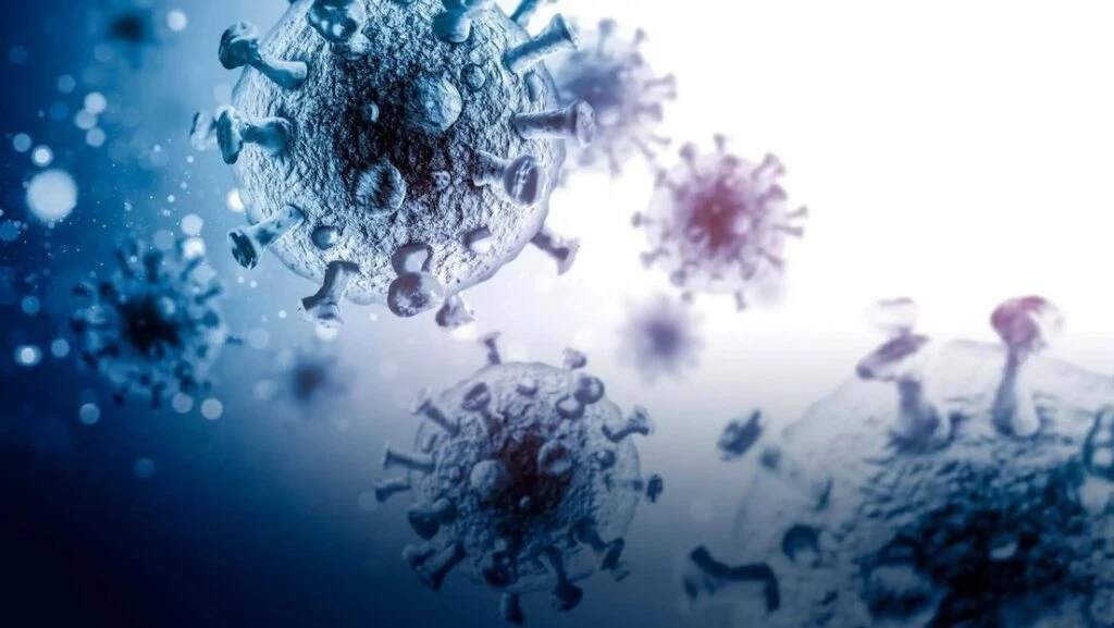 Virus 