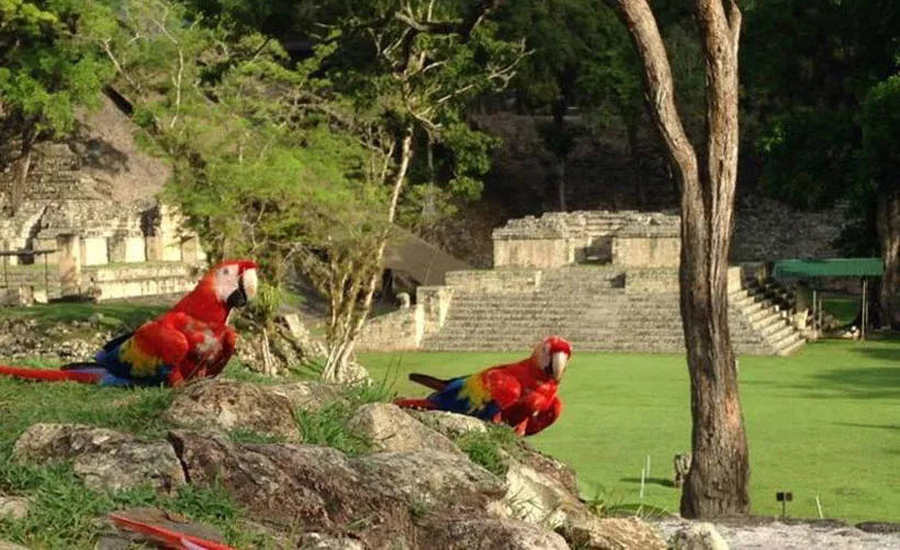 COPAN RUINAS