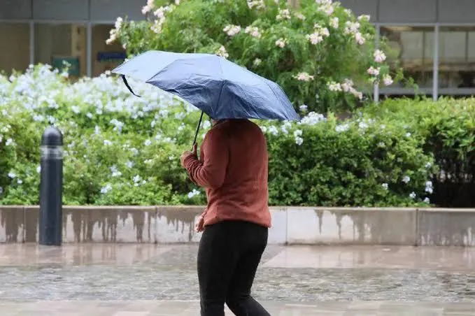 Persona con paraguas bajo la lluvia