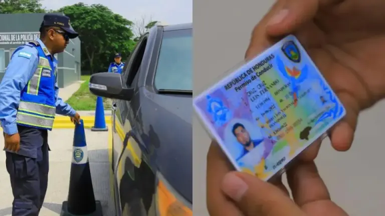 Imagen Principal de Nota: Licencia por primera vez, nuevo detalle en el sistema sorprende a aspirantes