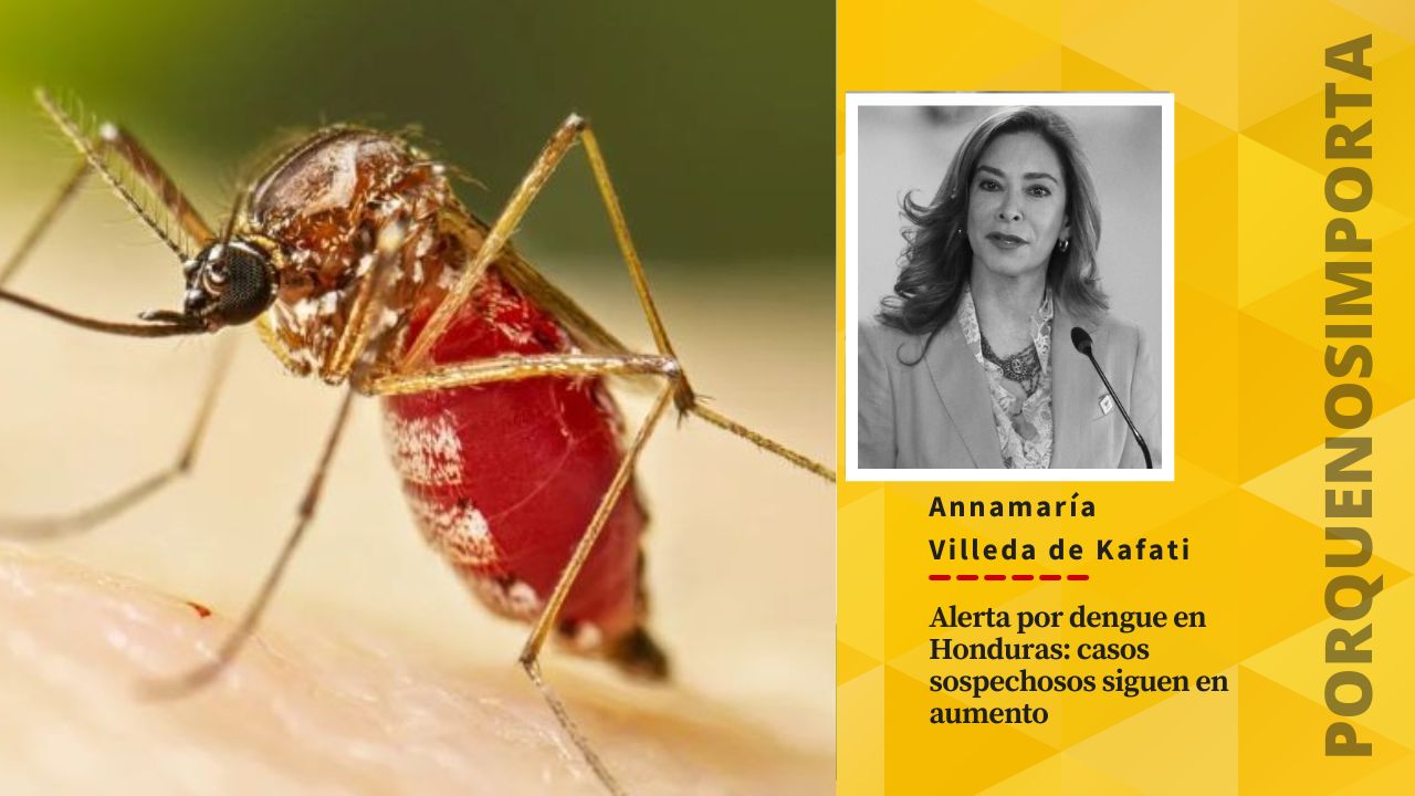 Alerta por dengue en Honduras: casos sospechosos siguen en aumento
