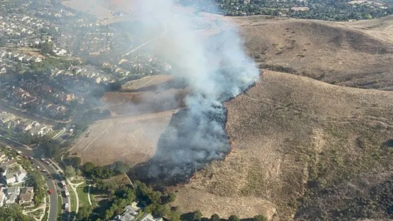 Imagen Principal de Nota: Hijo de famosa actriz provoca incendio forestal y todo se sale de control