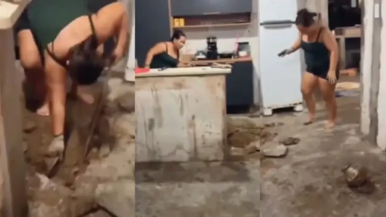 Imagen Principal de Nota: Mujer soñó con un tesoro bajo su casa, excavó y encontró algo inesperado