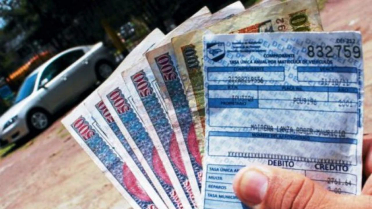 Pago de matrícula vehicular 2026: ¿Estas terminaciones deberán pagar en julio?