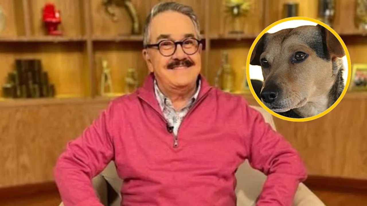 ¿Qué dijo Pedro Sola? Sus comentarios sobre los perros causan polémica en redes