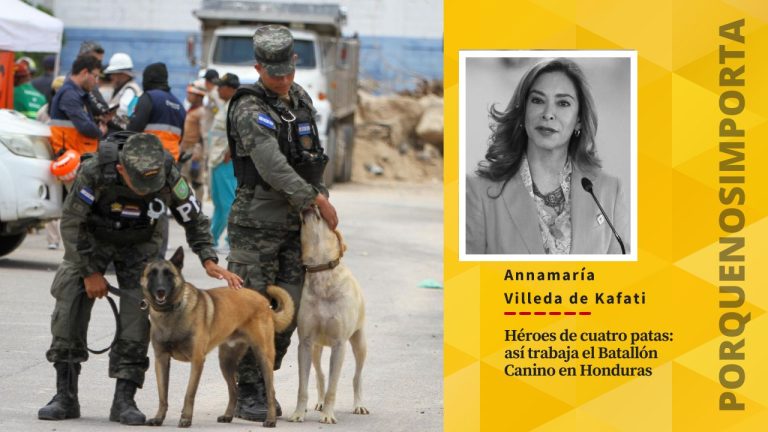 Héroes de cuatro patas: así trabaja el Batallón Canino en Honduras