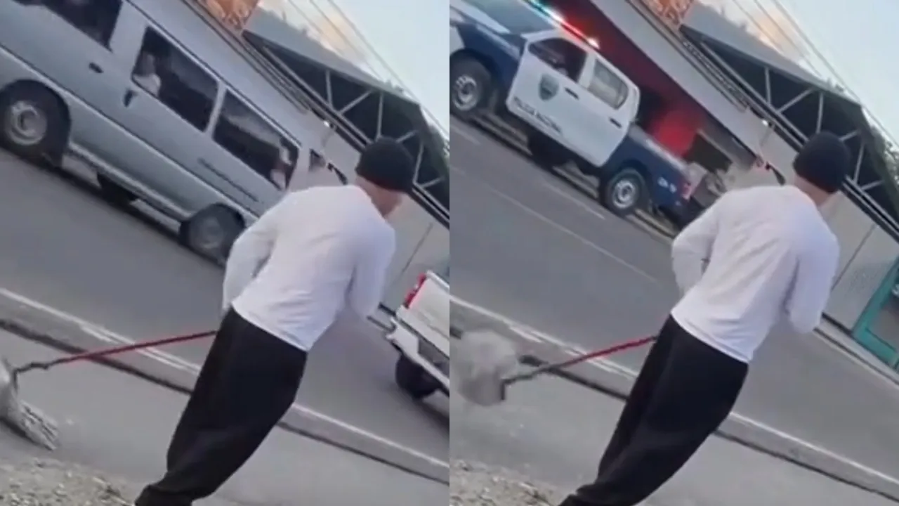 Imagen Principal de Nota: Hondureño sorprende por su insólita reacción durante pleito de sus vecinas