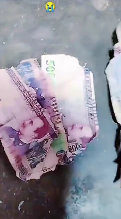 Imagen de dinero destruido